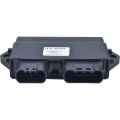 Picture of Arrowhead Yamaha CDI Module