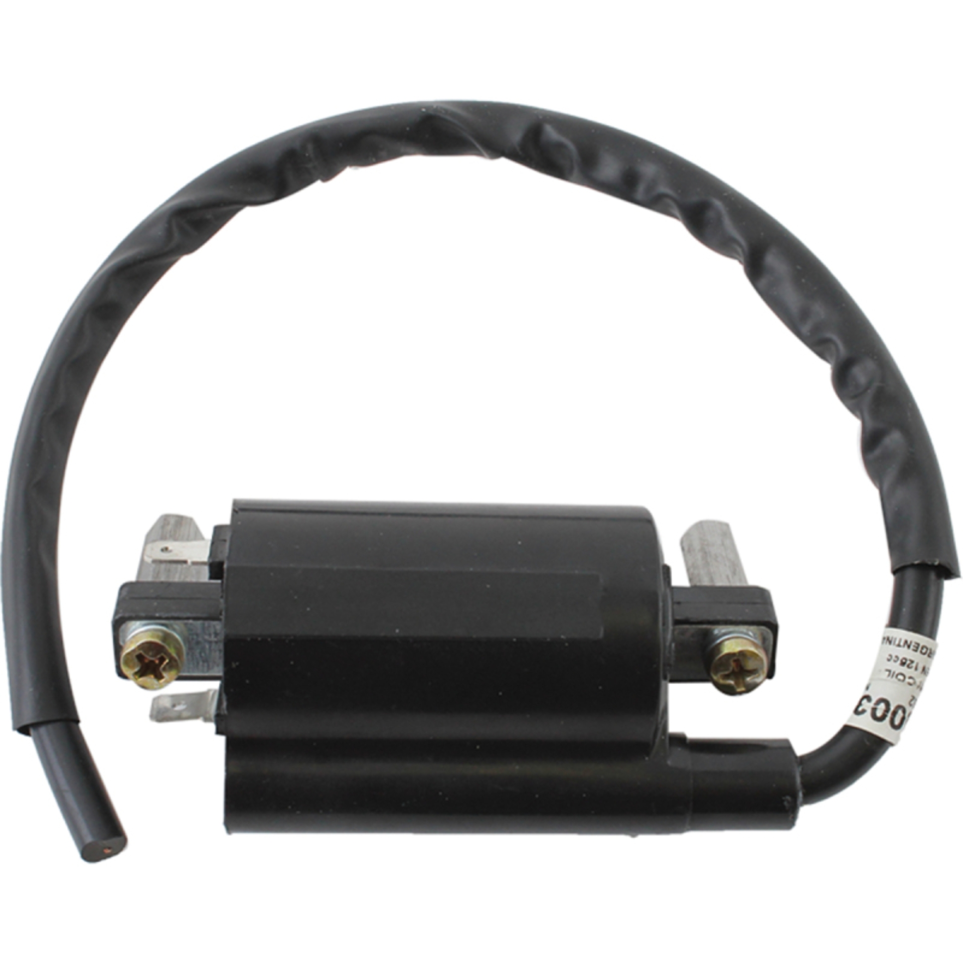 Picture of Arrowhead Suzuki Ignition Coil