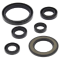 Picture of Vertex Gaskets 06-23 Yamaha YFM700R Raptor Oil Seal Kit