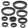 Picture of Vertex Gaskets 02-05 Honda CRF450R Oil Seal Kit