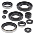 Picture of Vertex Gaskets 91-94 Kawasaki KDX250 Oil Seal Kit