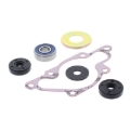 Picture of Vertex Gaskets 97-98 Ski-Doo Formula MX Z440/MXZ X Water Pump Rebuild Kit