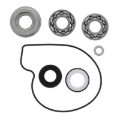 Picture of Vertex Gaskets 2018 Arctic Cat Noresman 3000 EFI Water Pump Rebuild Kit