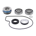 Picture of Vertex Gaskets 2018 Arctic Cat Noresman 3000 EFI Water Pump Rebuild Kit