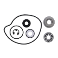 Picture of Vertex Gaskets 2017 Arctic Cat ZR 5000 Water Pump Rebuild Kit