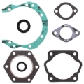Picture of Vertex Gaskets  Sachs 290 SA290SS/SA290R FC1 Complete Gasket Kit w/ Oil Seals