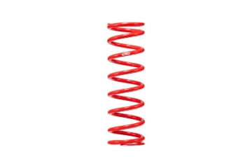 Picture of Individual Race Spring