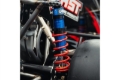 Picture of Individual Race Spring