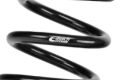 Picture of Pro-Kit Lowering Springs