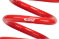 Picture of Individual Race Spring
