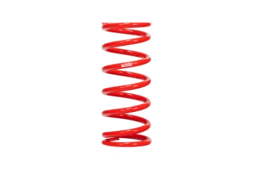 Picture of Individual Race Spring