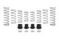 Picture of Eibach 25-26 Polaris RZR PRO XP 4 Base/Sport/Premium (Walker Evans) Pro-UTV Stage 4 Kit - Set of 8