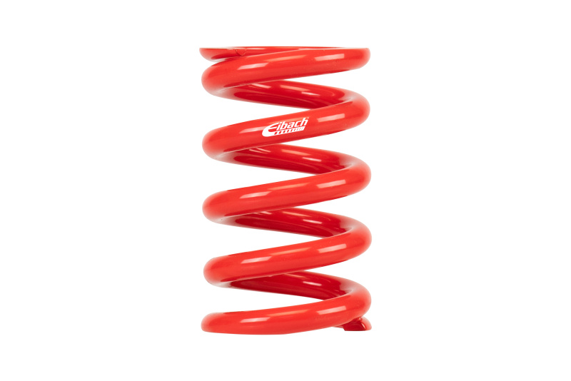 Picture of Individual Race Spring