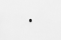 Picture of Wilwood bolt 3/8-24X.38 LG set screw holo-knurl PT black holo-krome