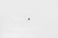Picture of Wilwood bolt 10-32X.19 LG (3/16) set screw cup point black