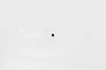 Picture of Wilwood bolt 10-32X.19 LG (3/16) set screw cup point black