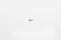 Picture of Wilwood screw #8X1/2 LG. pan head phillips steel zinc