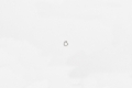 Picture of Wilwood retaining ring external SH-25 black phospate