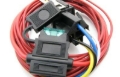 Picture of Fuel Pumps