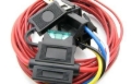 Picture of Fuel Pumps
