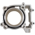 Picture of Cylinder Works 15-19 ACE 570/15-19 ACE 570 HD/14-21 Ranger 570 4x4 Crew EPS Standard Bore Cylinder