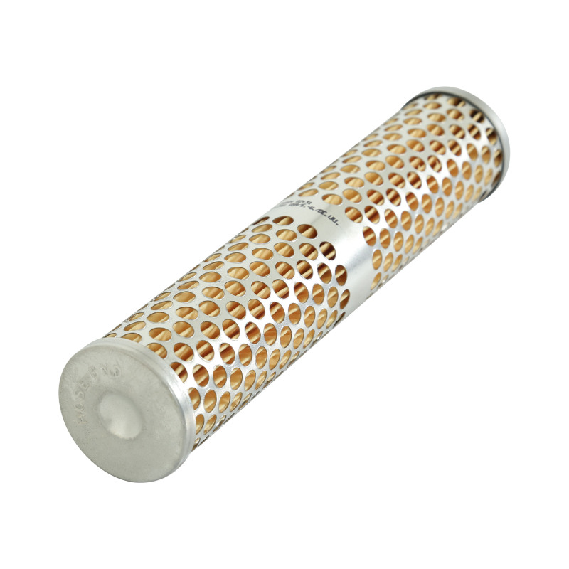Picture of AEM Fuel Filters - 25-202