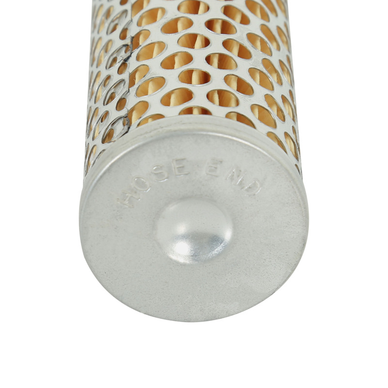 Picture of AEM Fuel Filters - 25-202