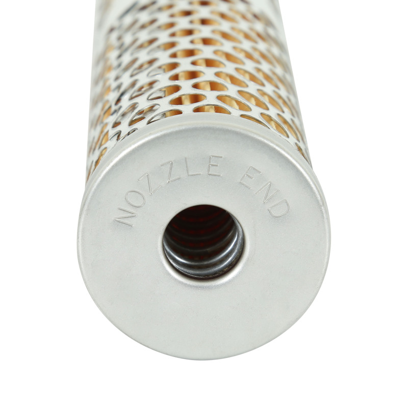 Picture of AEM Fuel Filters - 25-202