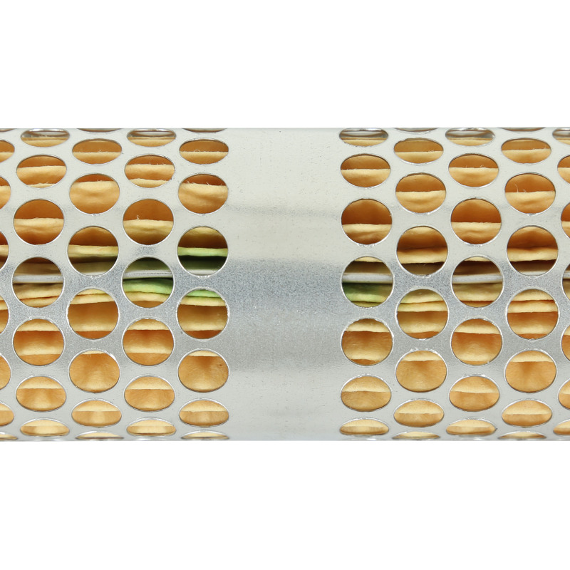 Picture of AEM Fuel Filters - 25-202