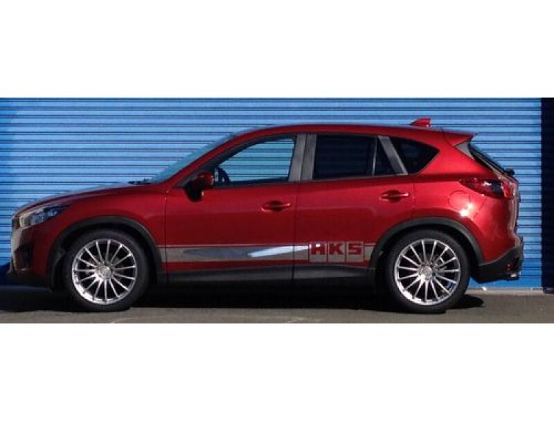 Picture of HKS Hipermax S Series Coilovers - 80300-AZ202