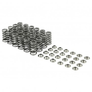 Picture of Skunk2 Racing SK Pro Valve Springs Valve Springs, Retainers - 313-14-1000