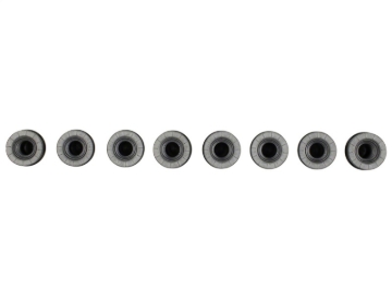 Picture of Ford Racing FR Lug Nut Kits - M-1012-SB