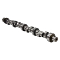 Picture of Edelbrock EDE Rollin Thunder Camshaft - 2213