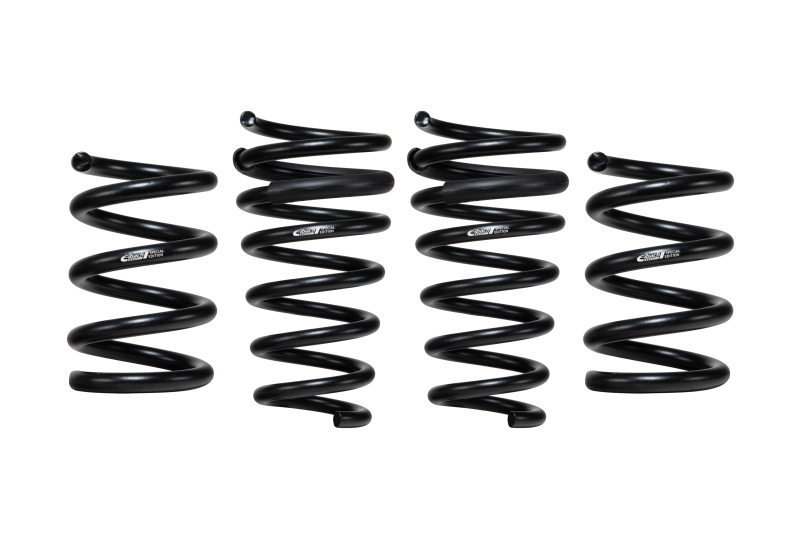 Picture of Eibach EIB ERS Springs Coilover Springs - E10-72-019-01-22