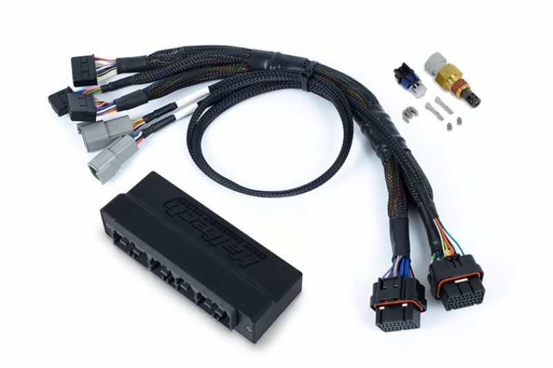 Picture of Haltech HAL NEXUS Wire-In Harnesses Wiring Harnesses - HT-186367