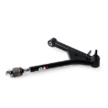 Picture of QA1 QAP Control Arms - 52702